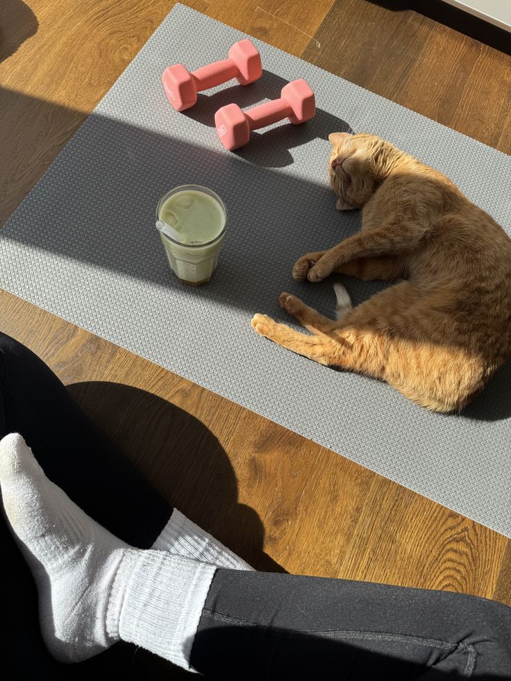 Ronron Yoga 01/01/26